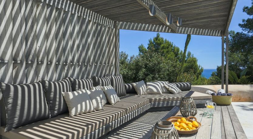 Photo of Peace Among The Palms