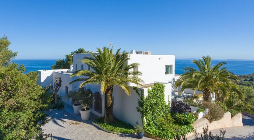 Photo of Peace Among The Palms