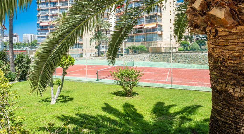 Photo of Blue Skies & Sweet Serenity