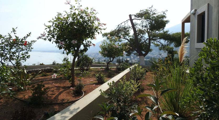 Photo of A Vision of Sunlight