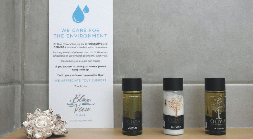 Photo of A Vision of Sunlight