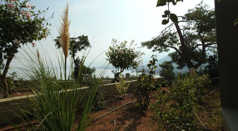 Photo of A Vision of Sunlight