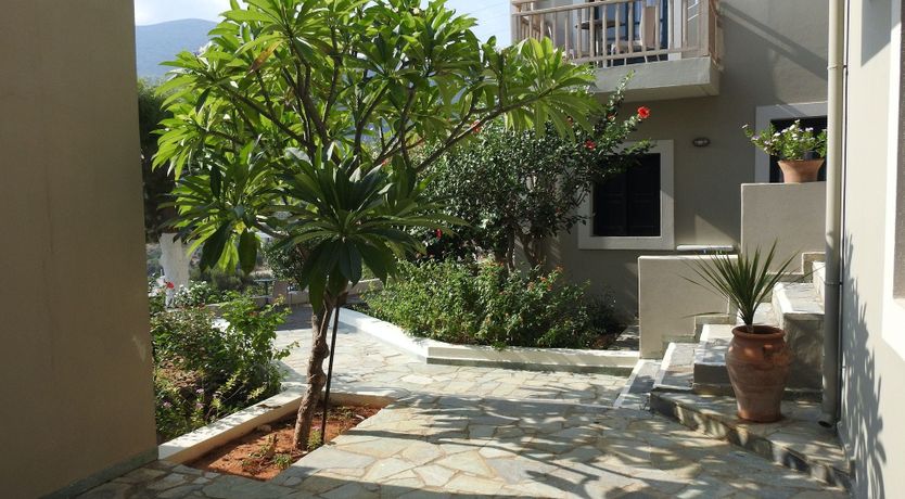 Photo of A Vision of Sunlight