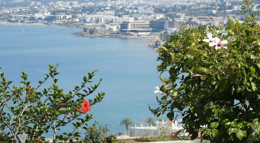 Photo of A Vision of Sunlight