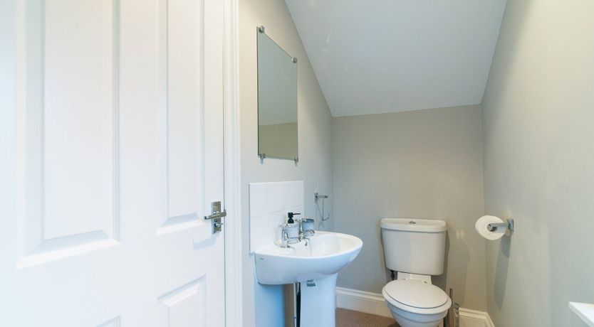 Photo of A Spring Like This