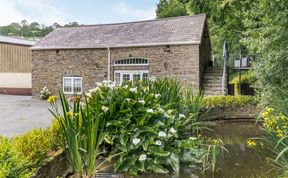 Photo of Garden apartment