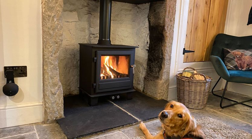 Photo of Angel's Cottage