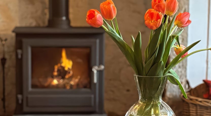 Photo of Angel's Cottage