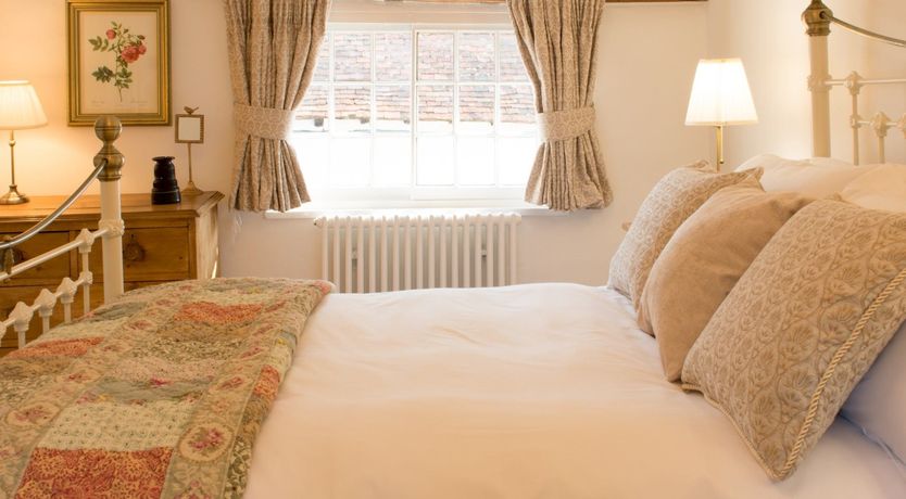 Photo of A Little Green Garden