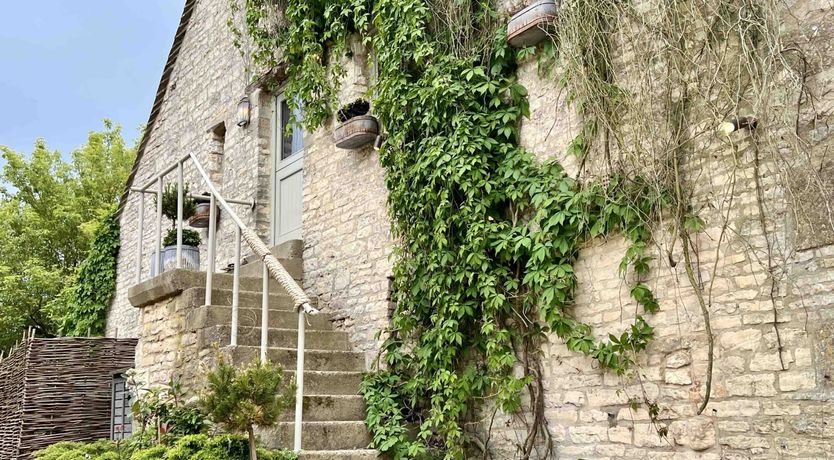 Photo of Tranquil Nature Escape