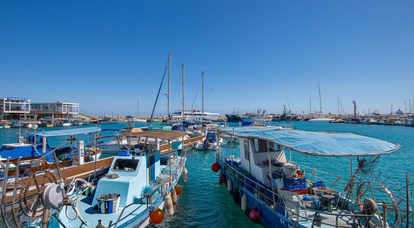 Photo of Moonlit Escape