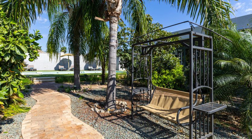 Photo of Alicante Enchantress