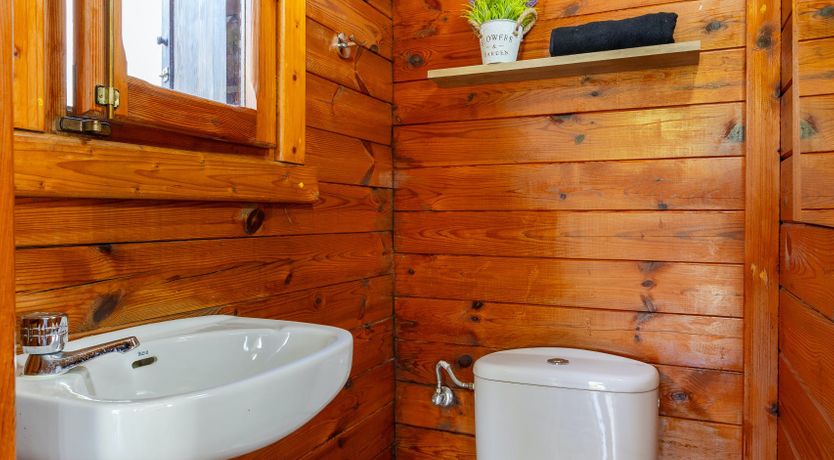 Photo of Alicante Enchantress