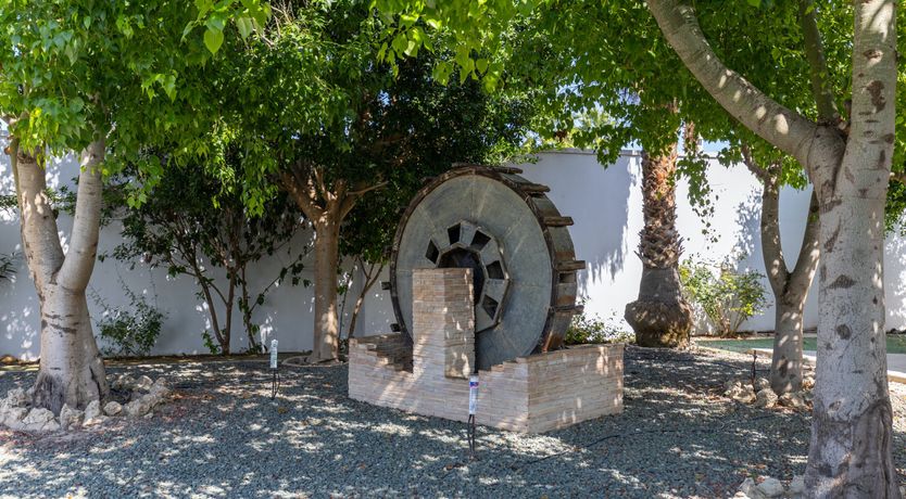 Photo of Alicante Enchantress