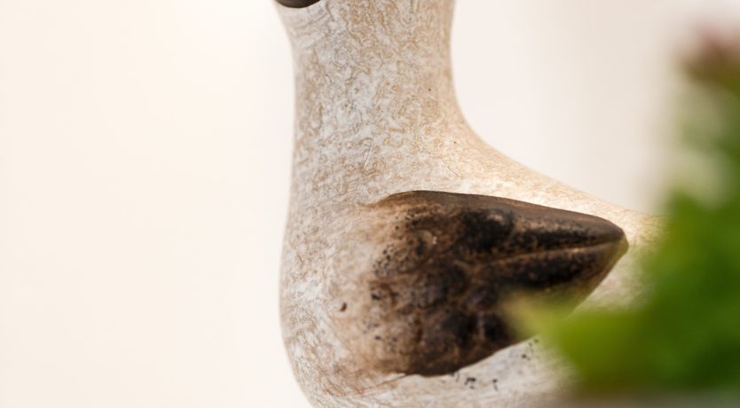 Photo of Tropical Dream Villa