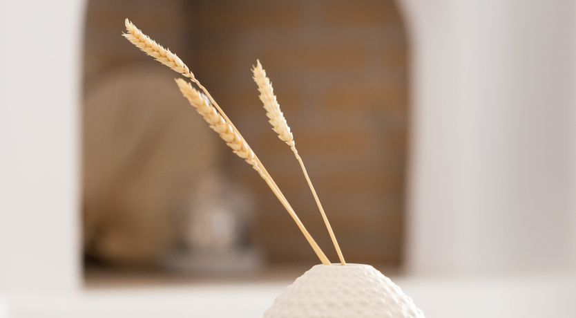 Photo of Tropical Dream Villa