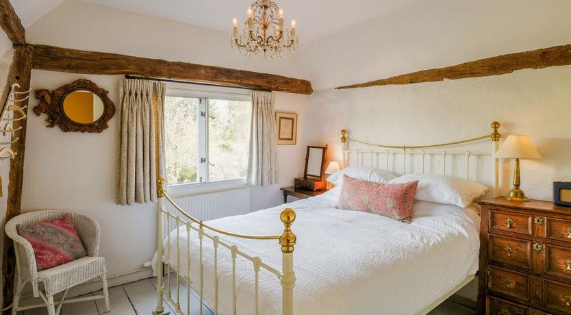 Photo of The Old Apple Tree