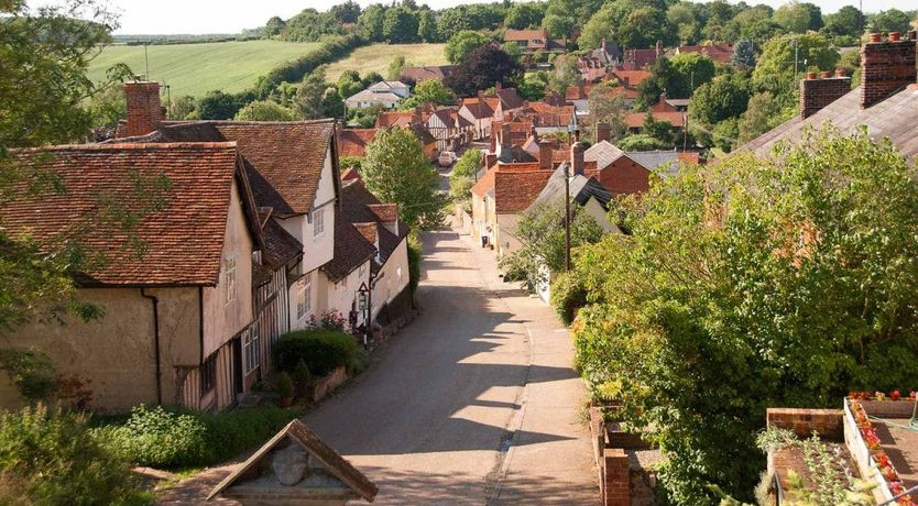 Photo of The Old Apple Tree