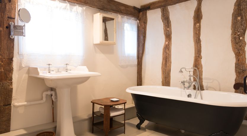 Photo of The Old Apple Tree