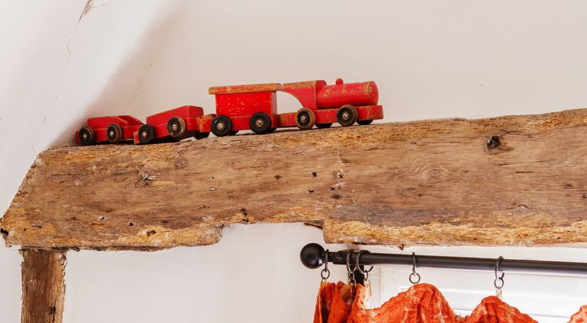 Photo of The Old Apple Tree