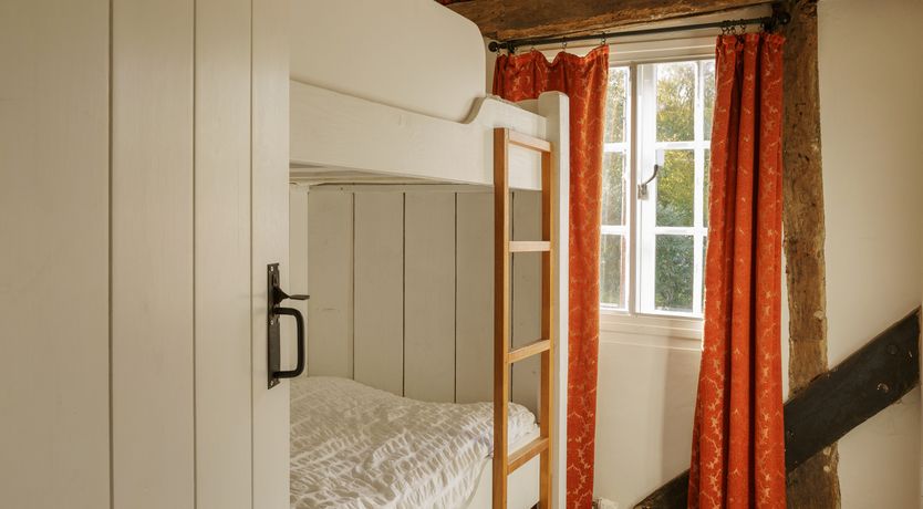 Photo of The Old Apple Tree