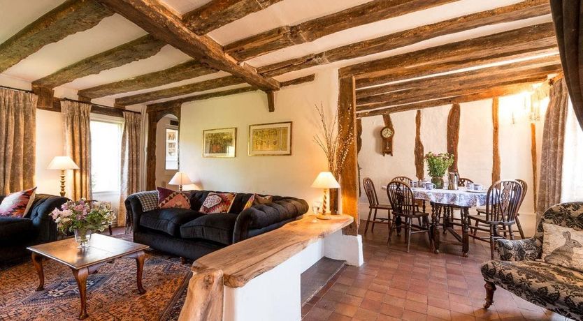 Photo of The Old Apple Tree