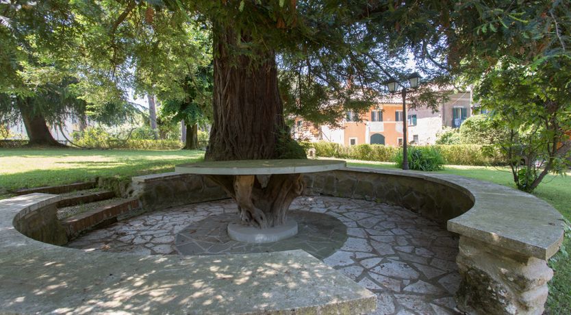 Photo of Saintly Scenes