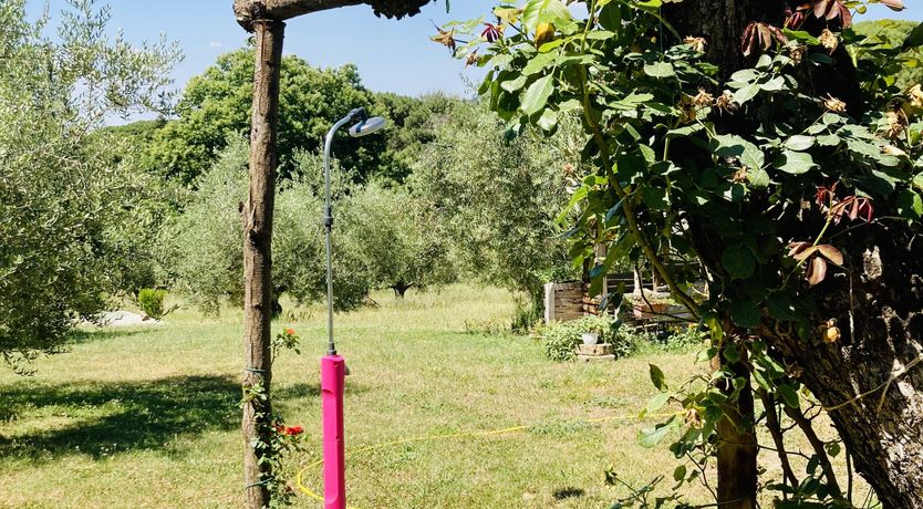 Photo of Saintly Scenes