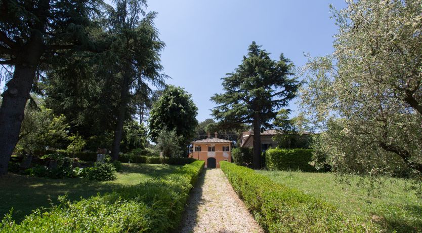 Photo of Saintly Scenes