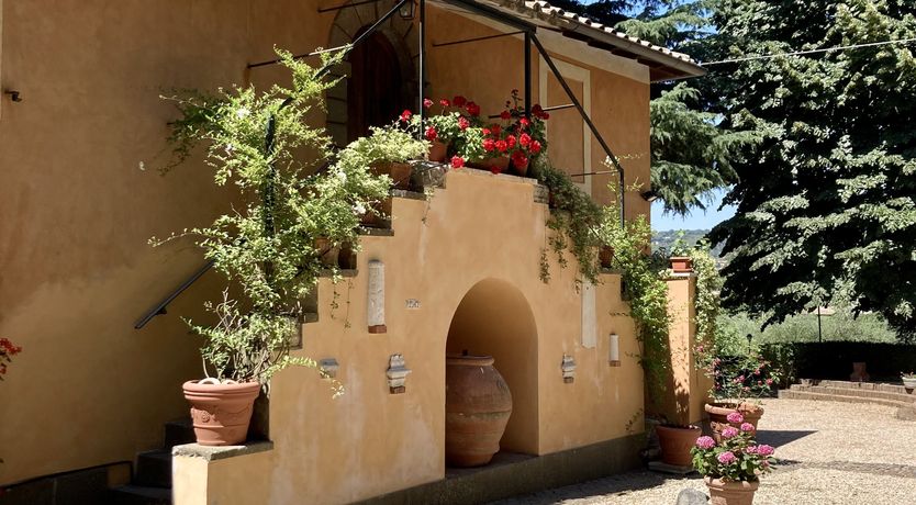 Photo of Saintly Scenes