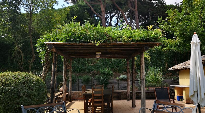 Photo of Saintly Scenes