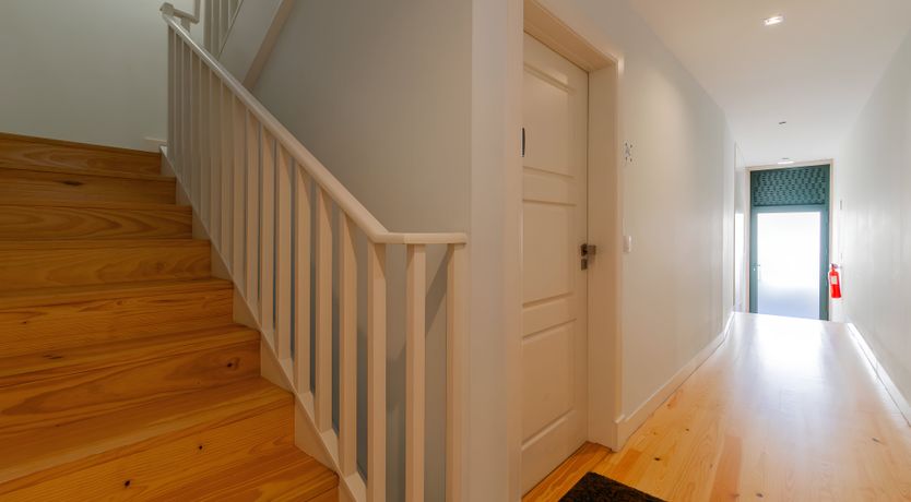 Photo of River Dance