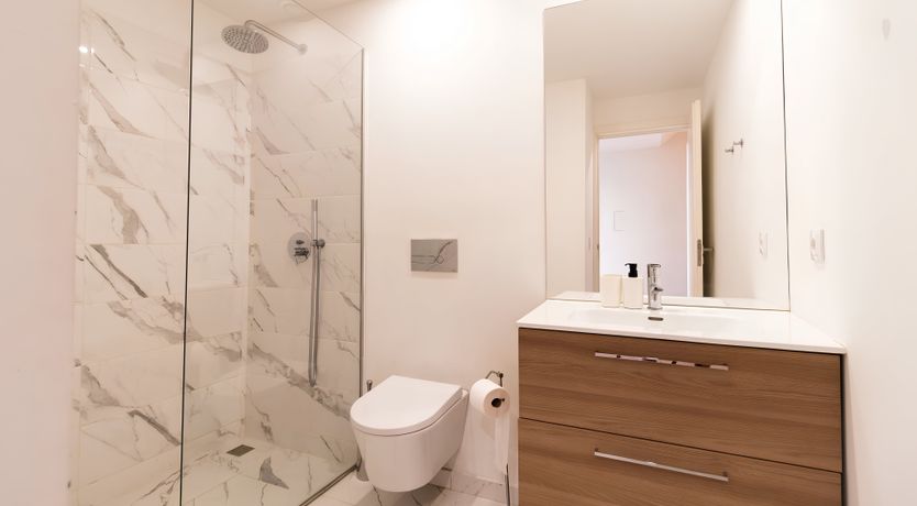 Photo of River Dance