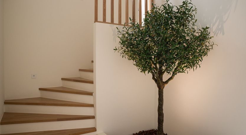 Photo of Coastal Vistas