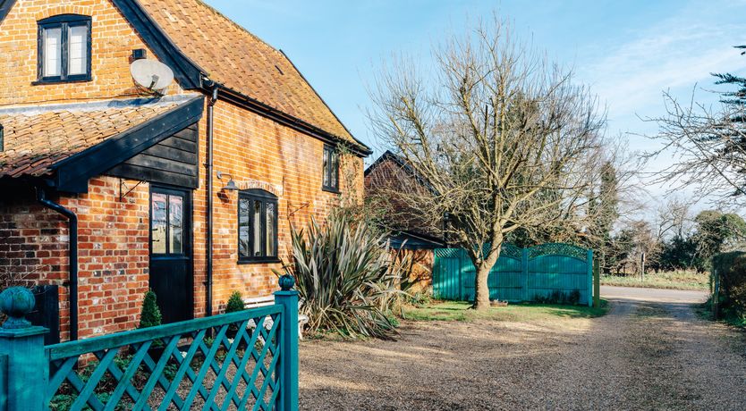 Photo of Blackbirds Singing At Dusk