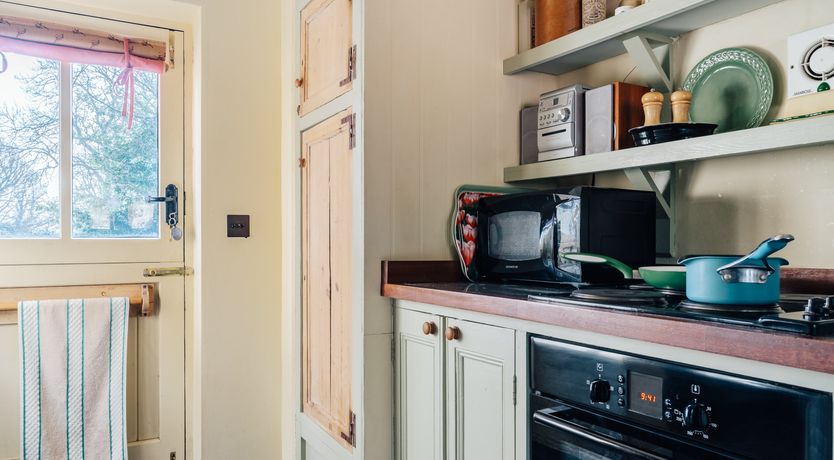 Photo of Blackbirds Singing At Dusk