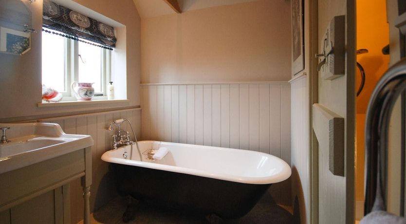 Photo of Blackbirds Singing At Dusk