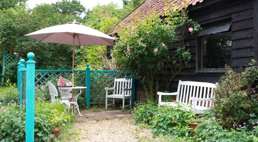 Photo of Blackbirds Singing At Dusk
