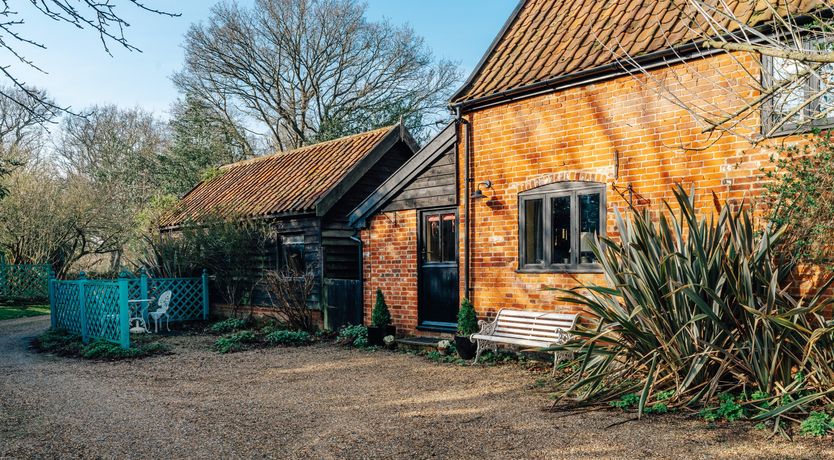 Photo of Blackbirds Singing At Dusk