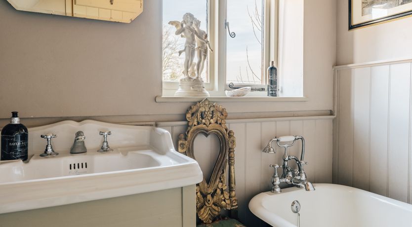 Photo of Blackbirds Singing At Dusk