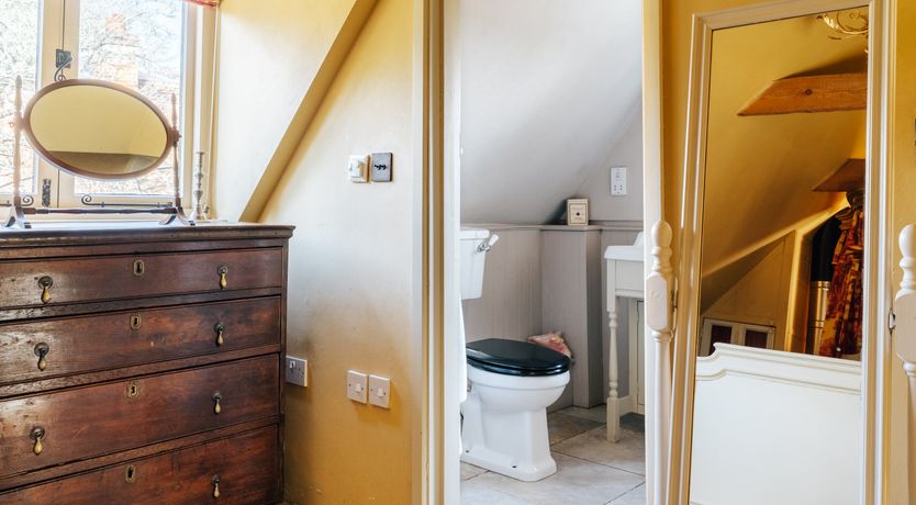 Photo of Blackbirds Singing At Dusk