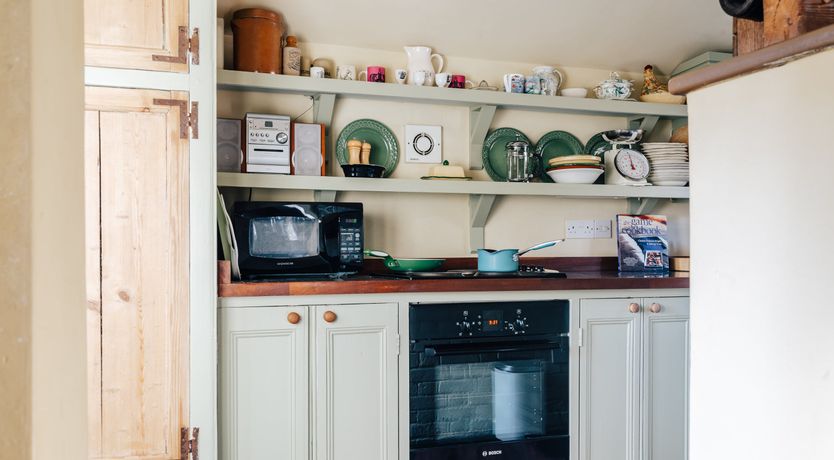 Photo of Blackbirds Singing At Dusk