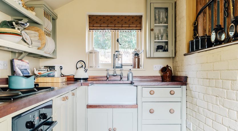 Photo of Blackbirds Singing At Dusk
