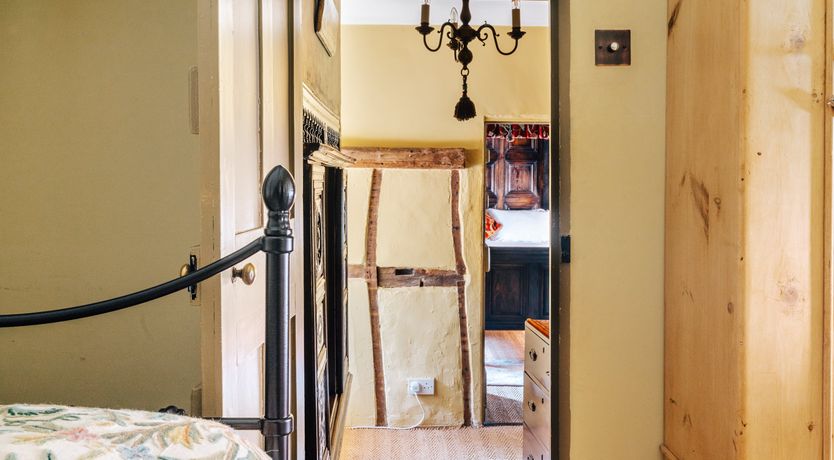 Photo of Jacobean Gem