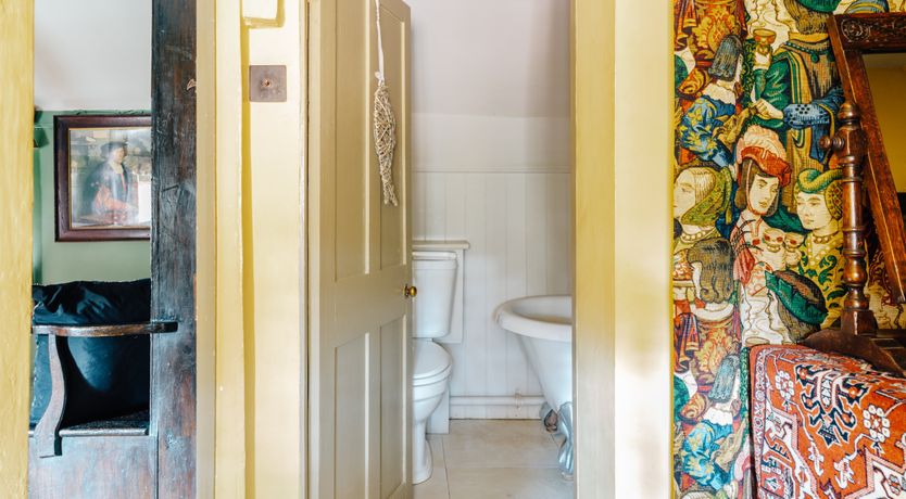 Photo of Jacobean Gem