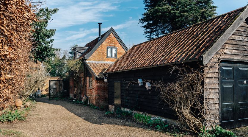 Photo of Jacobean Gem