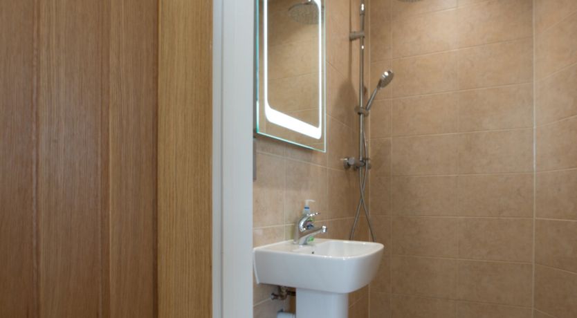 Photo of The Marsh Harrier