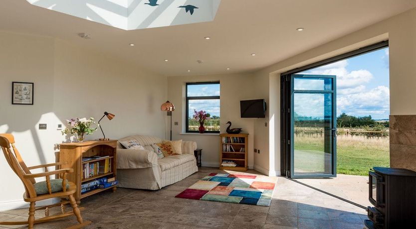 Photo of The Marsh Harrier