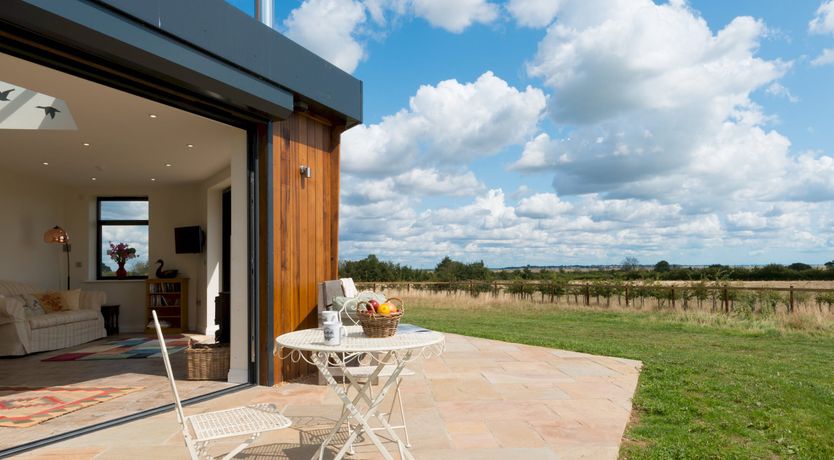 Photo of The Marsh Harrier