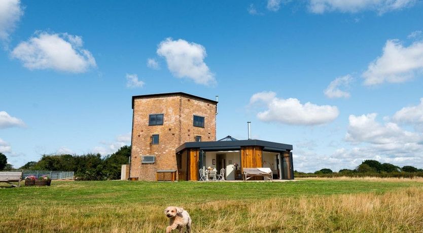 Photo of The Marsh Harrier